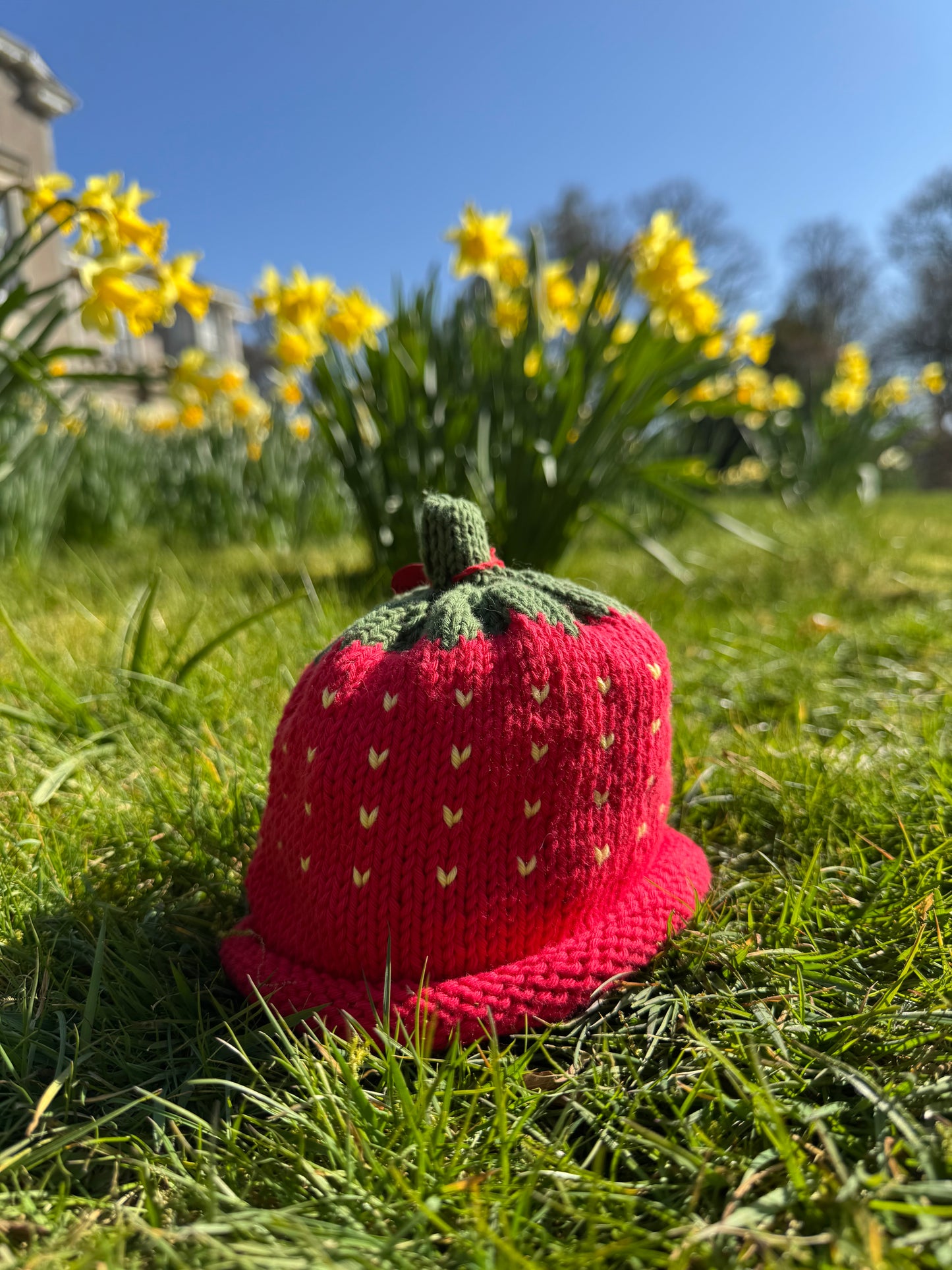 Strawberry Hat